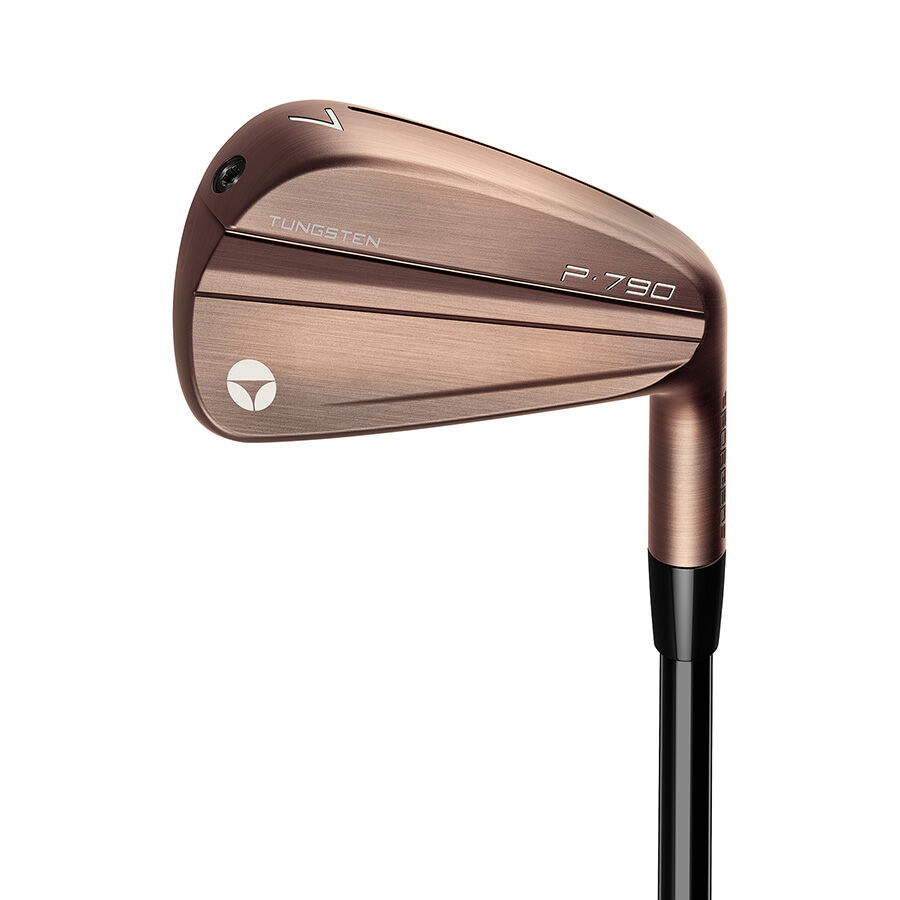 TaylorMade P-790 広い 2021モデル ヘッドのみ販売(P〜5i )