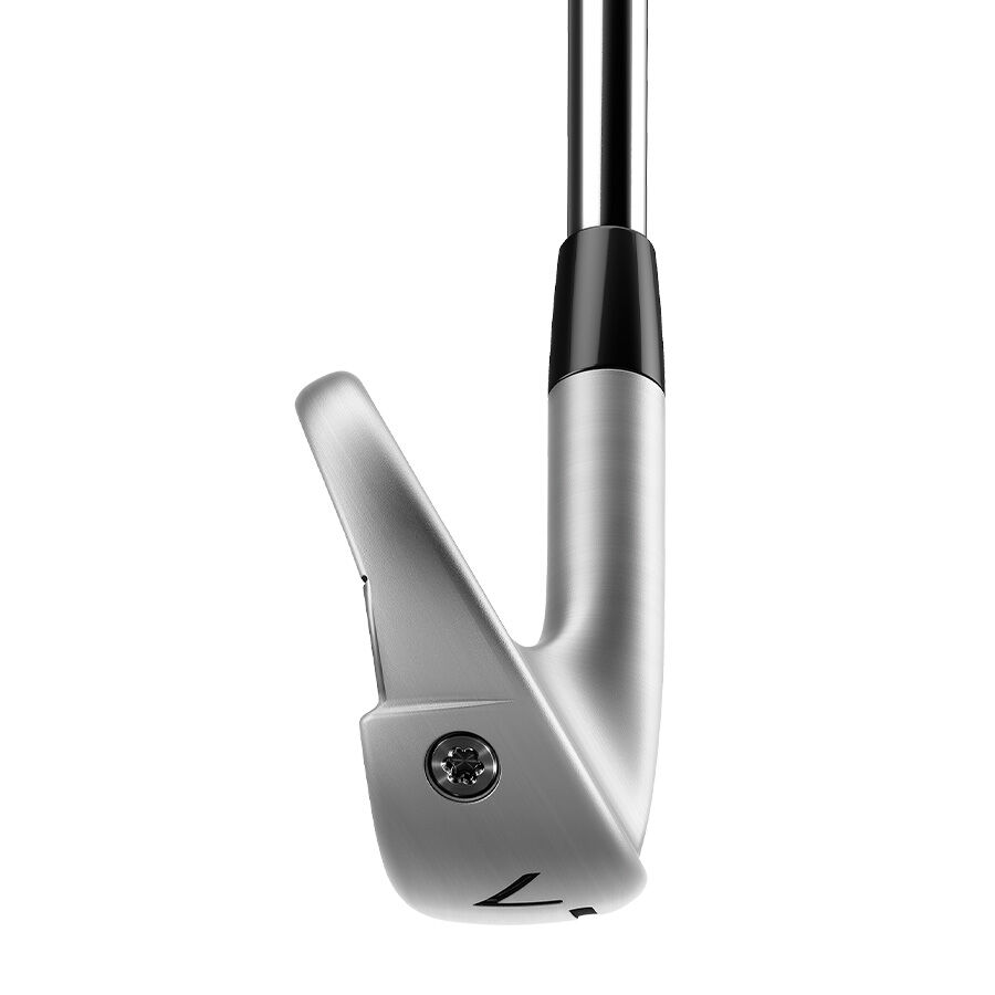 Amazon.com : TaylorMade Golf P790 Irons 4-PW Righthanded