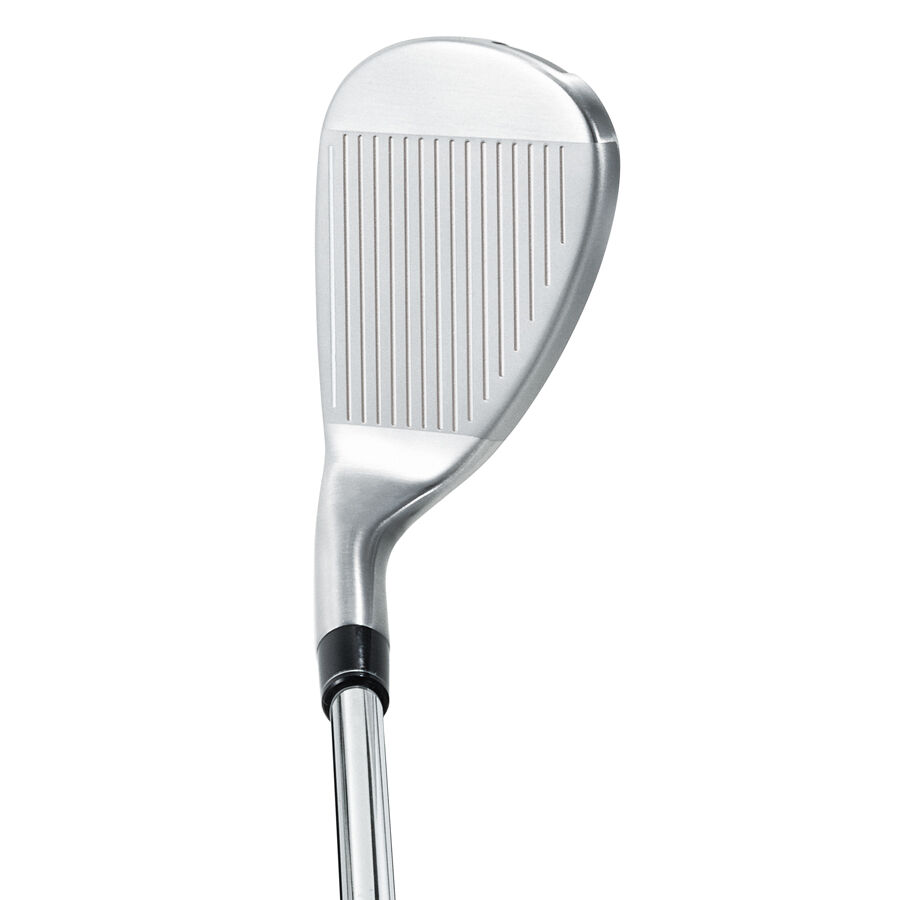 ワタルンテーラーメイド ステルス アイアン 6本TENSEI TM60 S ウェッジ
