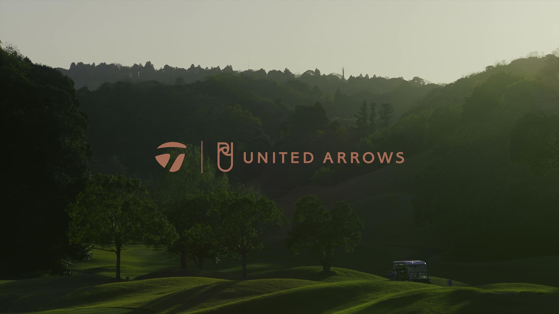 United arrows×Taylor made レディース　セットアップXS United arrows×Taylor made レディース セットアップXS