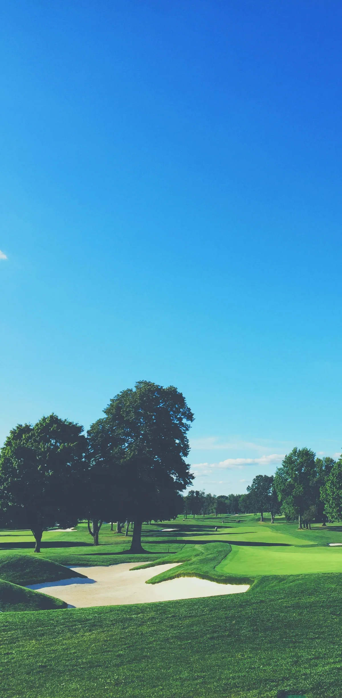 テーラーメイド ウェア春秋冬用　銀座限定 テーラーメイド ウェア春秋冬用 銀座限定 テーラーメイド銀座1周年記念