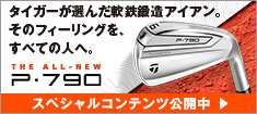 Taylormade Golf - Irons - New P790 アイアン