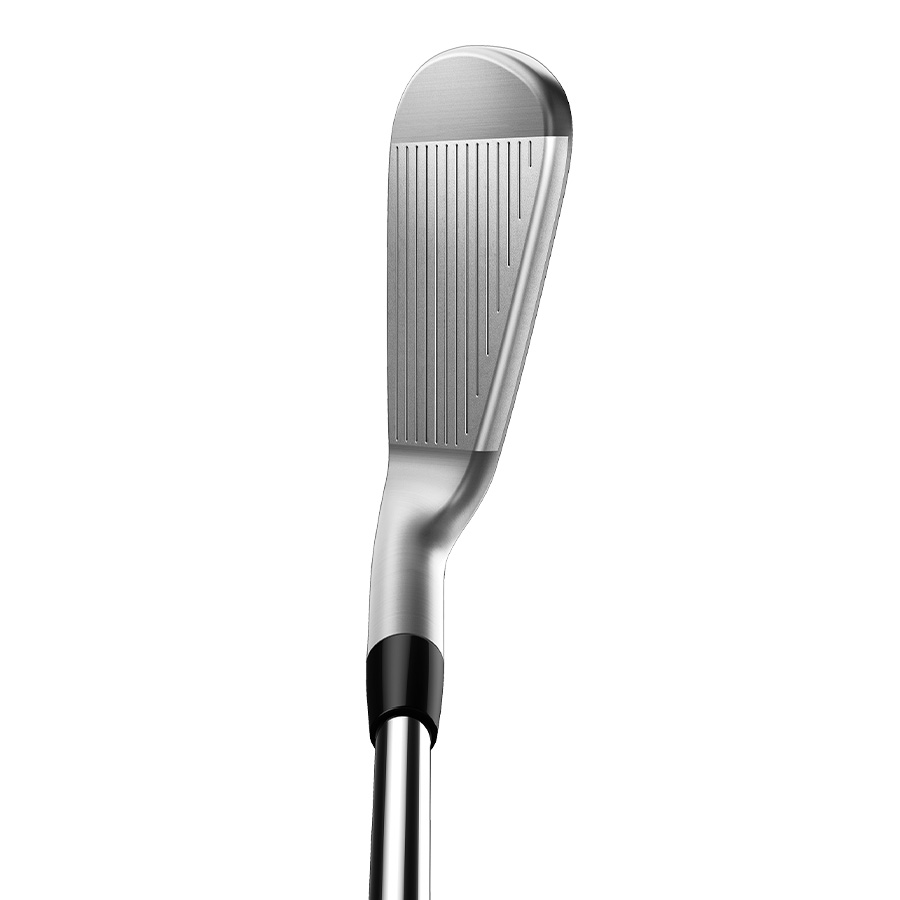 TaylorMade P770 DynamicGoldEX S200